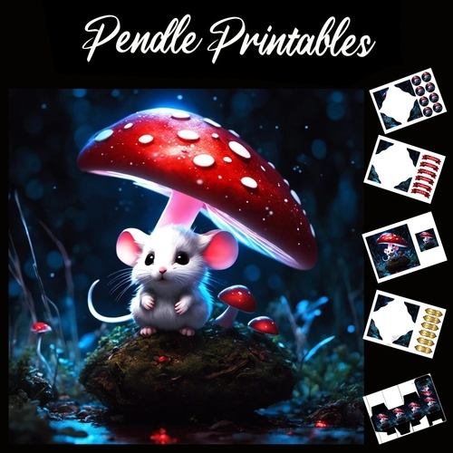 The Mouse And The Toadstool 7x7 Card Kit. Matching Box, Gift Bauble,Tag
