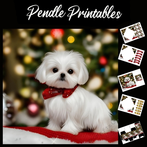 Dressed For Santa. Cute Puppy Card 7x7 Card Kit. Matching Box, Gift Bauble,Tag
