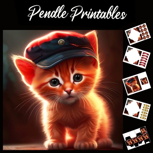 Wild One Kitten 7x7 Card Kit. Matching Box, Gift Bauble,Tag