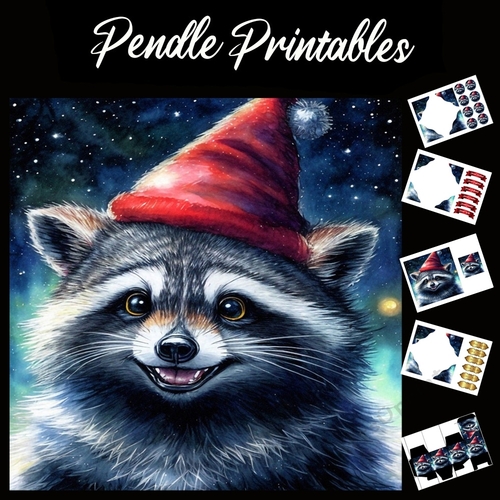 Cute Cheeky Christmas Raccoon 7x7 Card Kit. Matching Box, Gift Bauble,Tag