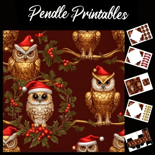 A Hoot Of Owls 7x7 Card Kit. Matching Box, Gift Bauble,Tag