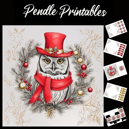 The Old Time Owl 7x7 Card Kit. Matching Box, Gift Bauble,Tag