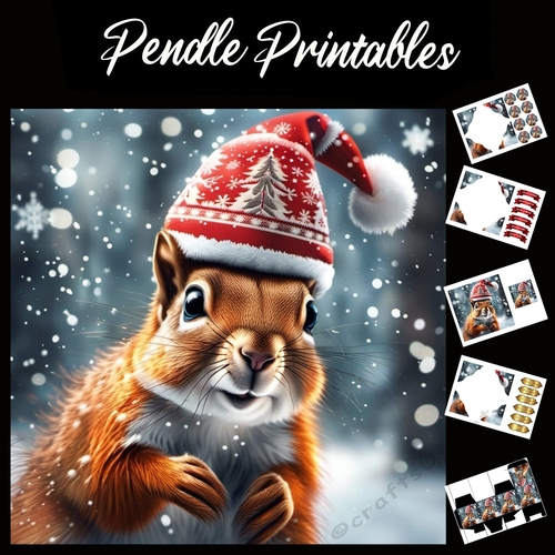 Just Gimme The Nuts Man! Squirrel Card 7x7 Card Kit. Matching Box, Gift Bauble,Tag