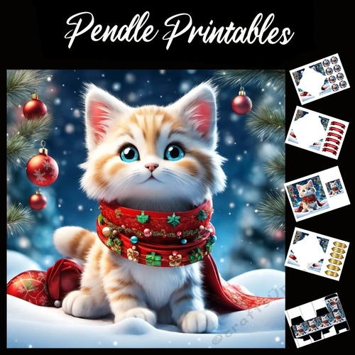 You Will Grow In To It. Kitten Card 7x7 Card Kit. Matching Box, Gift Bauble,Tag