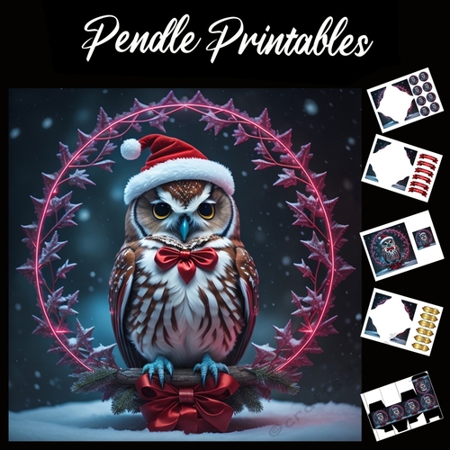 Neon Red Bow Owl 7x7 Card Kit. Matching Box, Gift Bauble,Tag