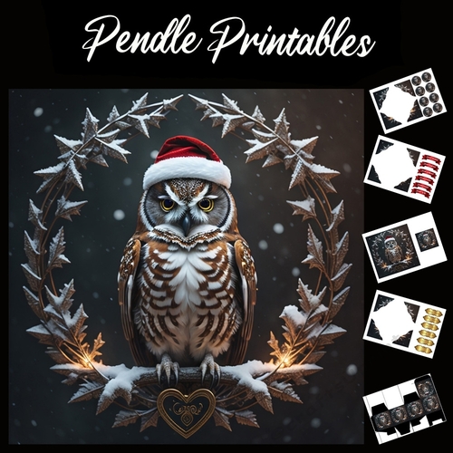 The Brown Owl 7x7 Card Kit. Matching Box, Gift Bauble,Tag