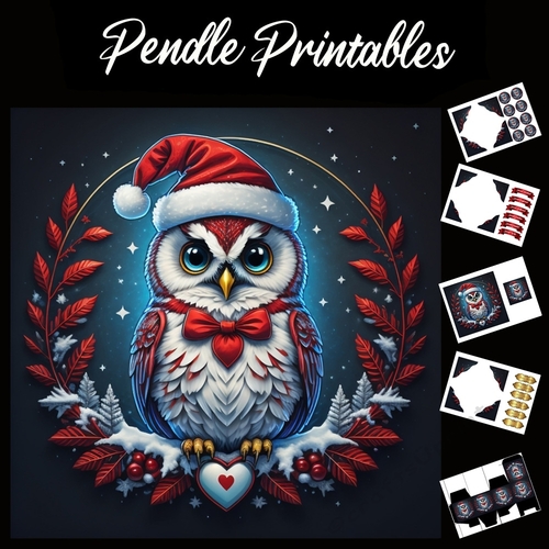 Lovely Neon Christmas Owl 7x7 Card Kit. Matching Box, Gift Bauble,Tag