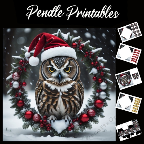 The Snow Wreath Owl 7x7 Card Kit. Matching Box, Gift Bauble,Tag
