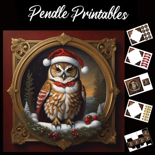 The Majestic Owl 7x7 Card Kit. Matching Box, Gift Bauble,Tag
