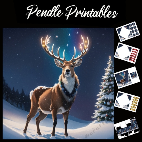 Rainbow Light Stag 7x7 Card Kit. Matching Box, Gift Bauble,Tag