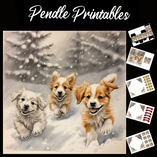 Funtime Snow Puppies 7x7 Card Kit. Matching Box, Gift Bauble,Tag