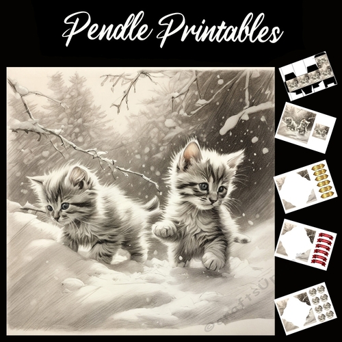 Too Cute Kittens Pencil Sketch 7x7 Card Kit. Matching Box, Gift Bauble,Tag