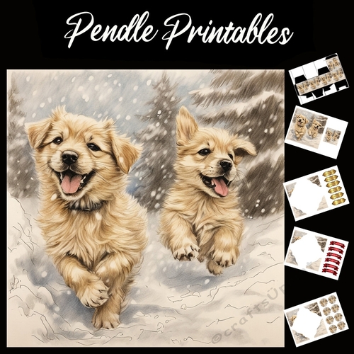 We Are Running Through That Snow Puppies 7x7 Card Kit. Matching Box, Gift Bauble,Tag