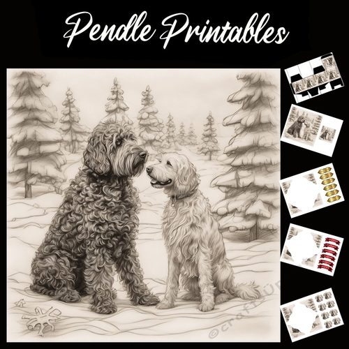 The Labradoodles Buddy 7x7 Card Kit. Matching Box, Gift Bauble,Tag