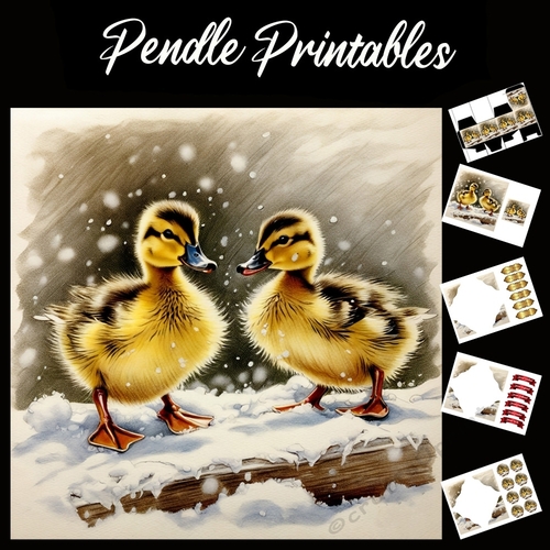 Quackers About Christmas 7x7 Card Kit. Matching Box, Gift Bauble,Tag