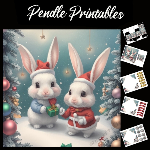 From Us To You. Cute Bunny Card 7x7 Card Kit. Matching Box, Gift Bauble,Tag