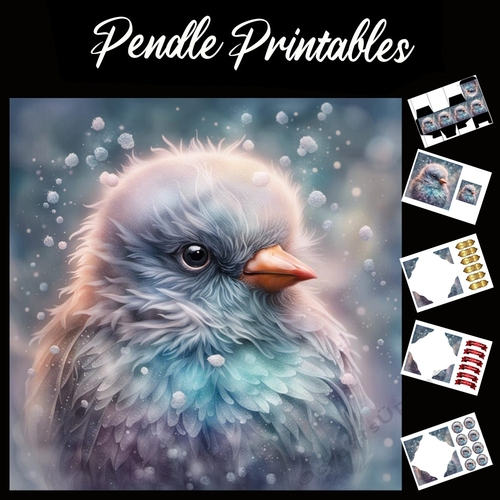 The Stunning Snow Bird 7x7 Card Kit. Matching Box, Gift Bauble,Tag