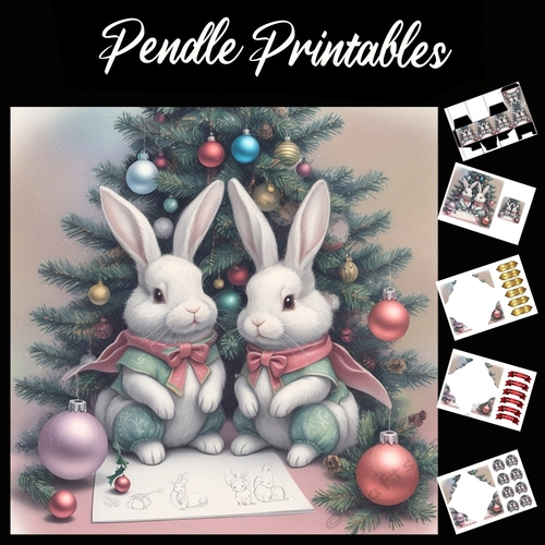 Super Hero Rabbits 7x7 Card Kit. Matching Box, Gift Bauble, Tag
