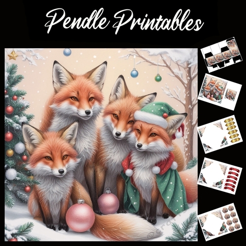 Foxes Merry Christmas 7x7 Card Kit. Matching Box, Gift Bauble, Tag