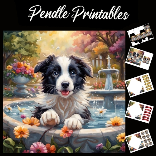 Splish Splash Collie 7x7 Card Kit. Matching Box, Gift Bauble, Tag