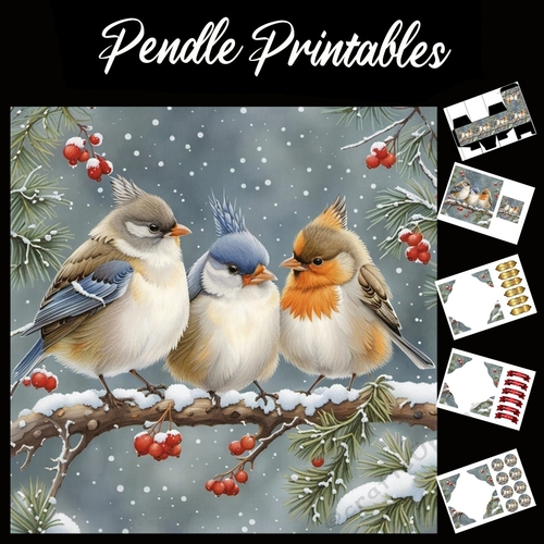 Three Funky Birds 7x7 Card Kit. Matching Box, Gift Bauble, Tag