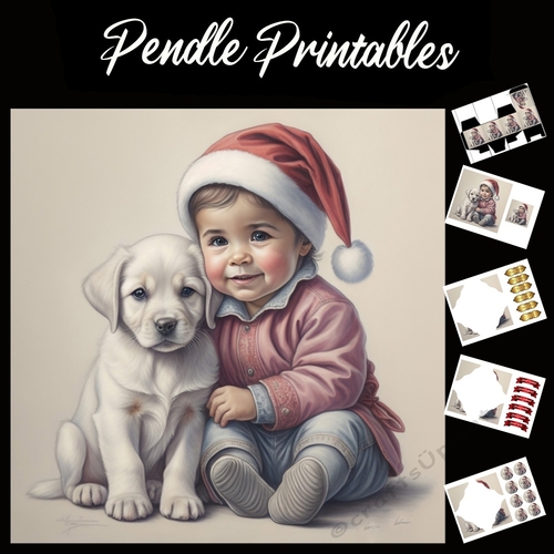 A Boy And His Labrador 7x7 Card Kit. Matching Box, Gift Bauble,Tag