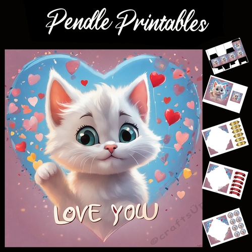Hey There Love You Cute White Kitten 7x7 Card Kit. Matching Box, Gift Bauble,Tag