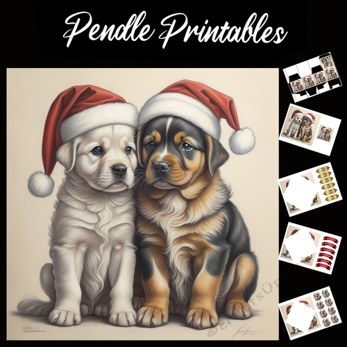 It Wasnt Us Puppies 7x7 Card Kit. Matching Box, Gift Bauble,Tag