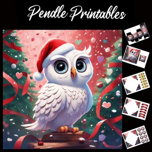 Cute Christmas White Owl 7x7 Card Kit. Matching Box, Gift Bauble,Tag