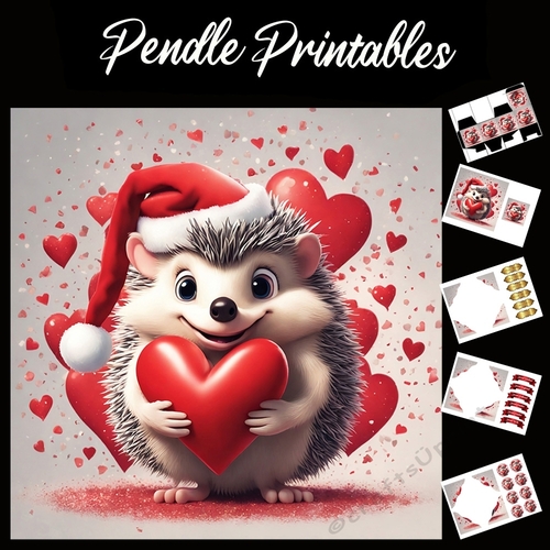 Cute Christmas Hedgehog With Heart 7x7 Card Kit. Matching Box, Gift Bauble,Tag