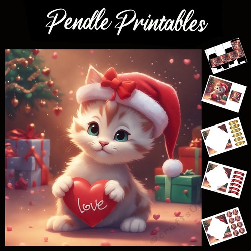 Cute Love In A Heart Kitten 7x7 Card Kit. Matching Box, Gift Bauble,Tag
