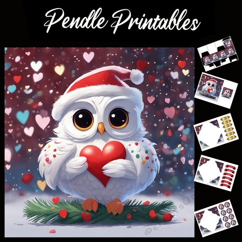 Cute Christmas White Owl With Heart 7x7 Card Kit. Matching Box, Gift Bauble,Tag