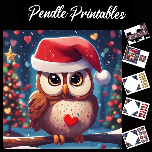 Cute Brown Christmas Owl 7x7 Card Kit. Matching Box, Gift Bauble,Tag