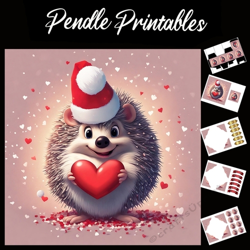 Cute Christmas Hedgehog 7x7 Card Kit. Matching Box, Gift Bauble,Tag