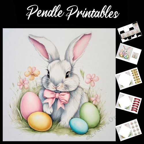 Easter Bunny Celebration Card 18 7x7 Card Kit. Matching Box, Gift Bauble,Tag