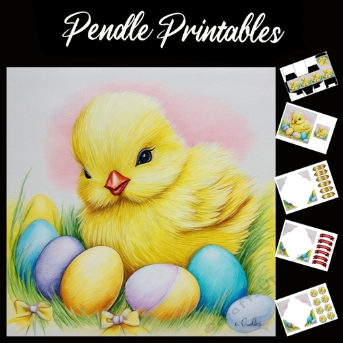Easter Bunny Celebration Card 24 7x7 Card Kit. Matching Box, Gift Bauble,Tag
