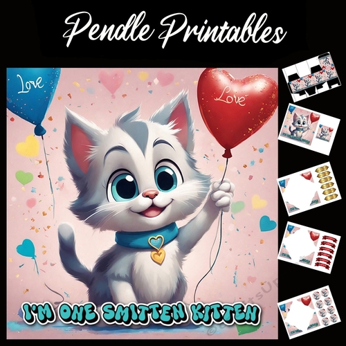 Funny Kitten Valentine Quote 7x7 Card Kit. Matching Box, Gift Bauble,Tag