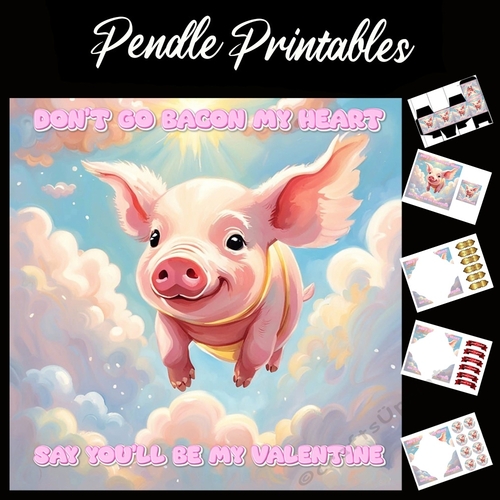 Funny Pig Flying Valentine Quote  7x7 Card Kit. Matching Box, Gift Bauble,Tag
