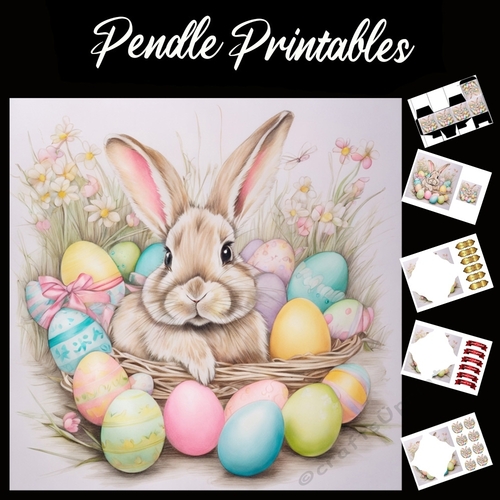 Easter Bunny 41 7x7 Card Kit. Matching Box, Gift Bauble,Tag