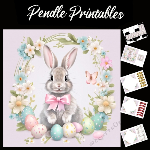 Easter Bunny 46 7x7 Card Kit. Matching Box, Gift Bauble,Tag