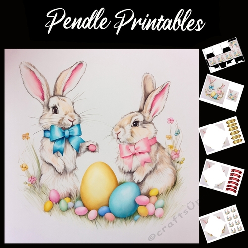 Easter Bunny 47 7x7 Card Kit. Matching Box, Gift Bauble,Tag