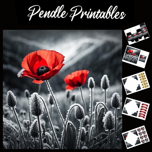 The Single Poppy 7x7 Card Kit. Matching Box, Gift Bauble,Tag