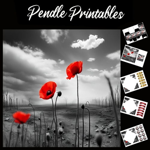 The Poppies 7x7 Card Kit. Matching Box, Gift Bauble,Tag