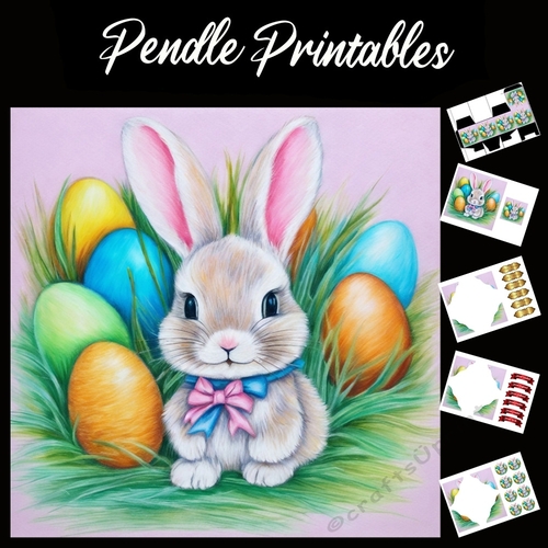 Cute Easter Bunny (17) 7x7 Card Kit. Matching Box, Gift Bauble,Tag
