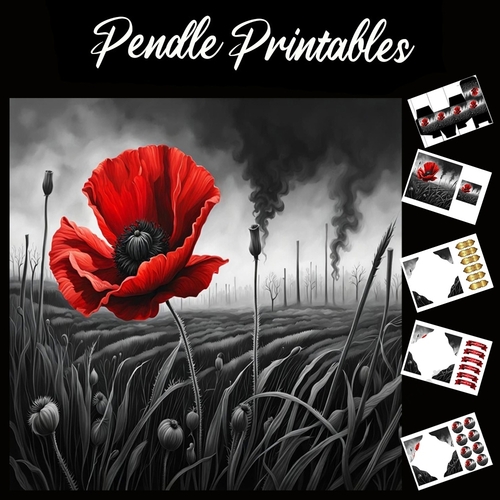 The Reddest Poppy 7x7 Card Kit. Matching Box, Gift Bauble,Tag