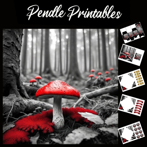 The Red Fungi 7x7 Card Kit. Matching Box, Gift Bauble,Tag