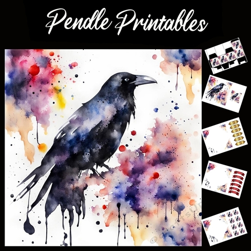 Splatter Art. The Raven 7x7 Card Kit. Matching Box, Gift Bauble,Tag
