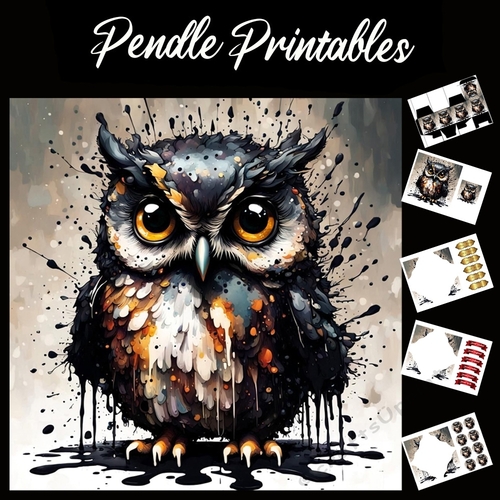 Splatter Art. The Owl 7x7 Card Kit. Matching Box, Gift Bauble,Tag