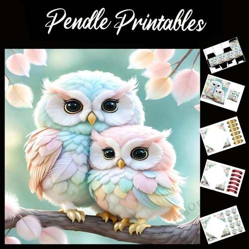 Two Fluffy Owls 7x7 Card Kit. Matching Box, Gift Bauble,Tag