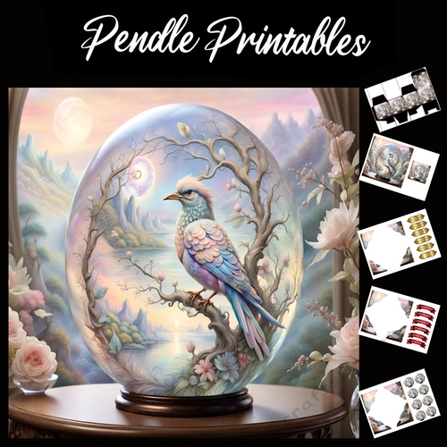  Beautiful Globe Bird 7x7 Card Kit. Matching Box, Gift Bauble,Tag